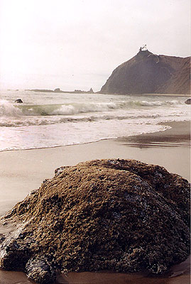 lincoln city hidden cove