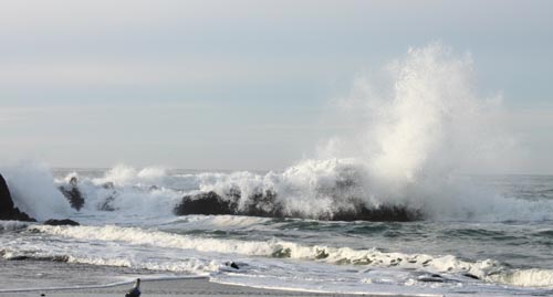 Big Surf and Lots of Sun This Week on Oregon Coast; Sneaker Wave Advisory 