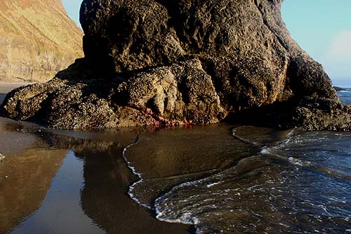 Seeing Stars on the Oregon Coast Above - and Below - This Week 