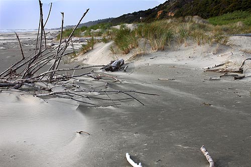 Driftwood Beach State Recreation Site, where new campsites will be available