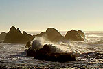 Waldport Seal Rock Virtual Tour