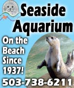 Feed the seals! One of the oldest aquariums in the U.S. is here in Seaside, Oregon, right on the Promenade