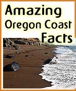 Oregon Coast Science Experts: What is Sea Foam?