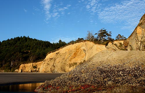 A Multitude of Finds, Unusual Features at N. Oregon Coast's Hug Point 