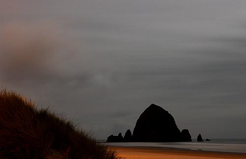 Oregon Beaches Aglow with Freaky Critters - About Oregon Coast Dinoflagellates