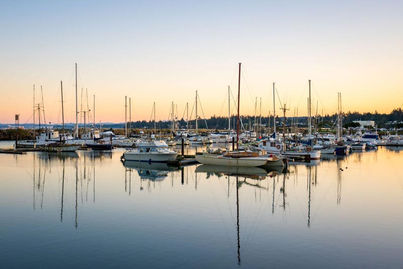 Charleston Marina on South Oregon Coast: Where Placid Meets the Raucous