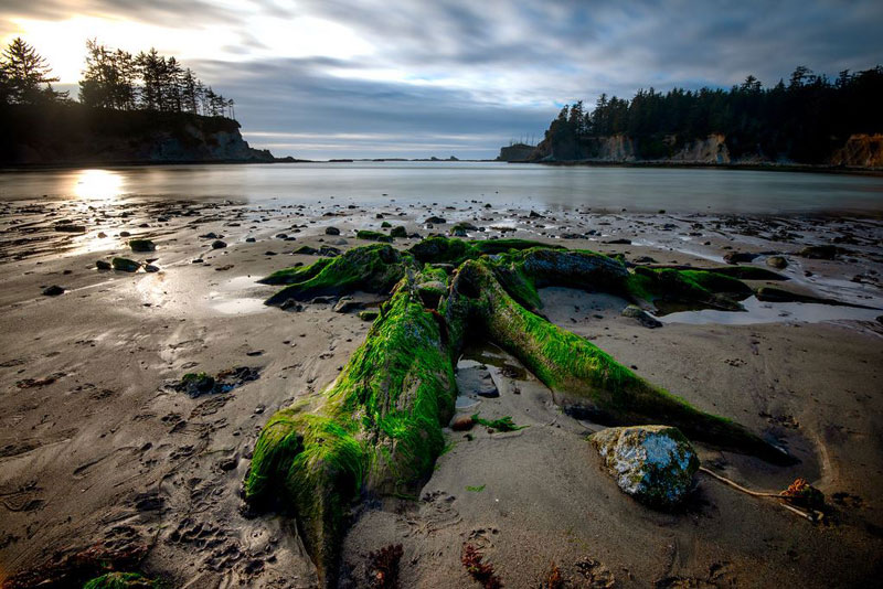 Three Oregon Coast Beaches Hiding Ancient, Even 'Ghostly' Secrets 