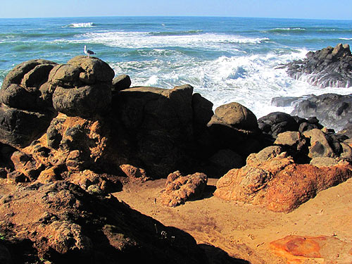 A Hidden Oregon Coast Favorite: Fishing Rock State Rec Site, Lincoln Beach 