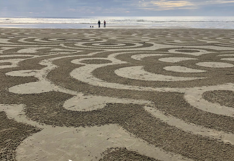 Famed Circles in the Sand Back on Central Oregon Coast - Florence