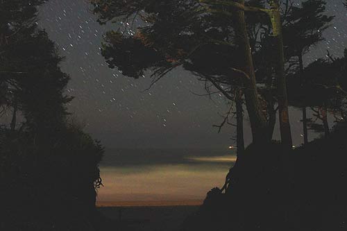 Grand Meteor Shower in Store for Oregon Coast, Portland, Valley: the Perseids