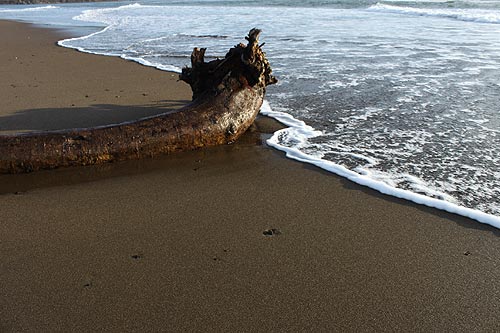 Siletz Bay