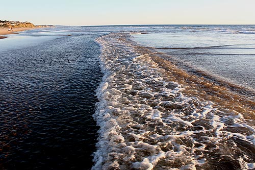 Southern Oregon Coast Under Sneaker Wave Advisory for End of Weekend