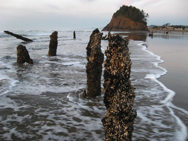 Neskowin's Proposal Rock, Hidden Features