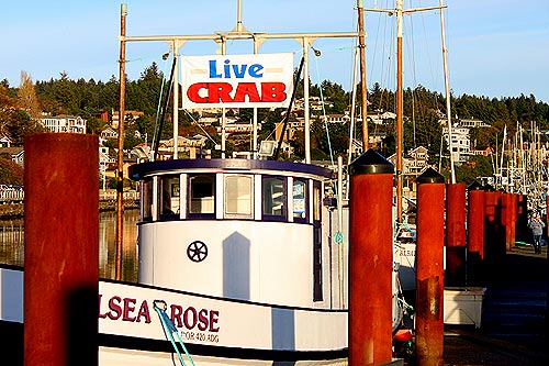 Commercial Dungeness Crab Season Delayed Again on Washington Coast, Oregon Coast 