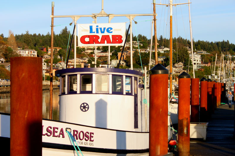 Shop at the Docks Tours Return to Oregon Coast: Garibaldi, Newport 