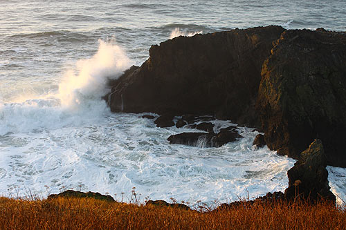waves could be like this over the week: Newport's Yaquina Head