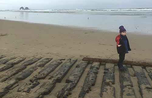Rare, Ghostly Shipwreck Emerges Again on Oregon Coast 