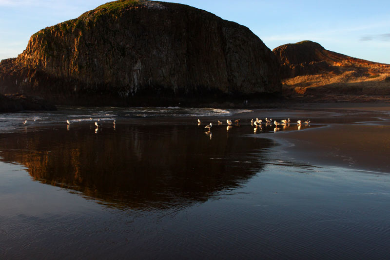 Some Outdoors Events Returning To Oregon Coast Some Outdoors Events Returning To Oregon Coast