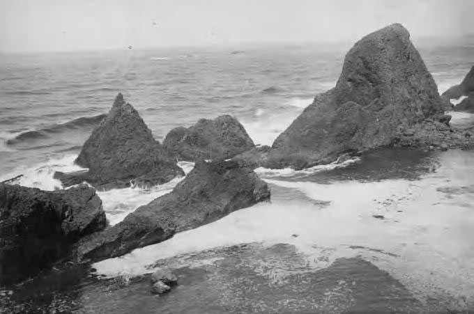 Strange Oregon Coast History: Legend of Seal Rock Sea Monsters