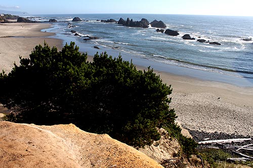 Seal Rock