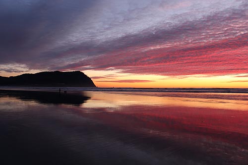 Unusual, Detailed Oregon Coast Travel Series is Indispensable Book Guide for Summer 