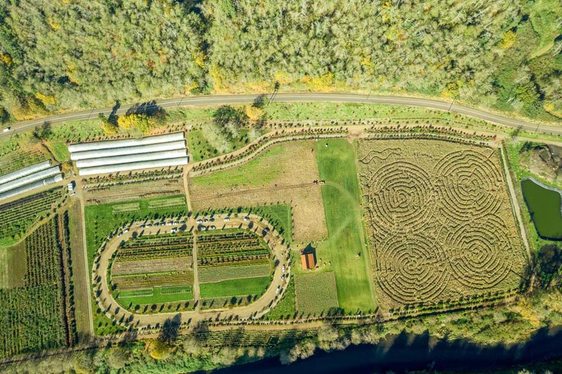 Trail Closures at Oregon's Tillamook Coast; Corn Maze Opens 