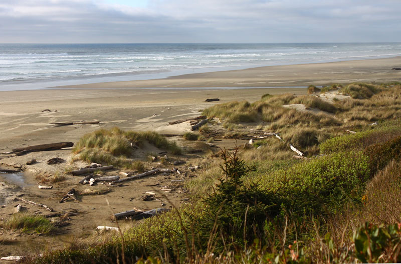 Waldport's Driftwood Beach Parking to Close for Oregon Coast Wave Energy Project Work