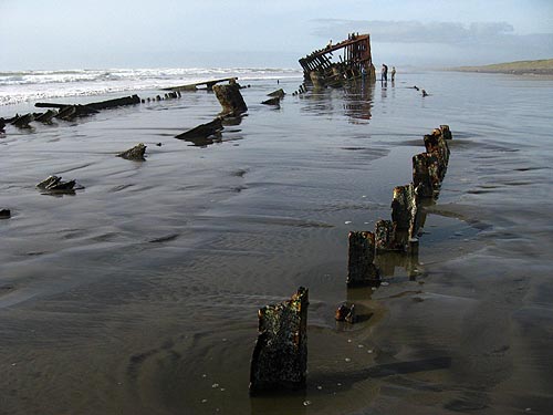 Shipwreck Skeletal Remains Peter Iredale N Oregon Coast Astoria